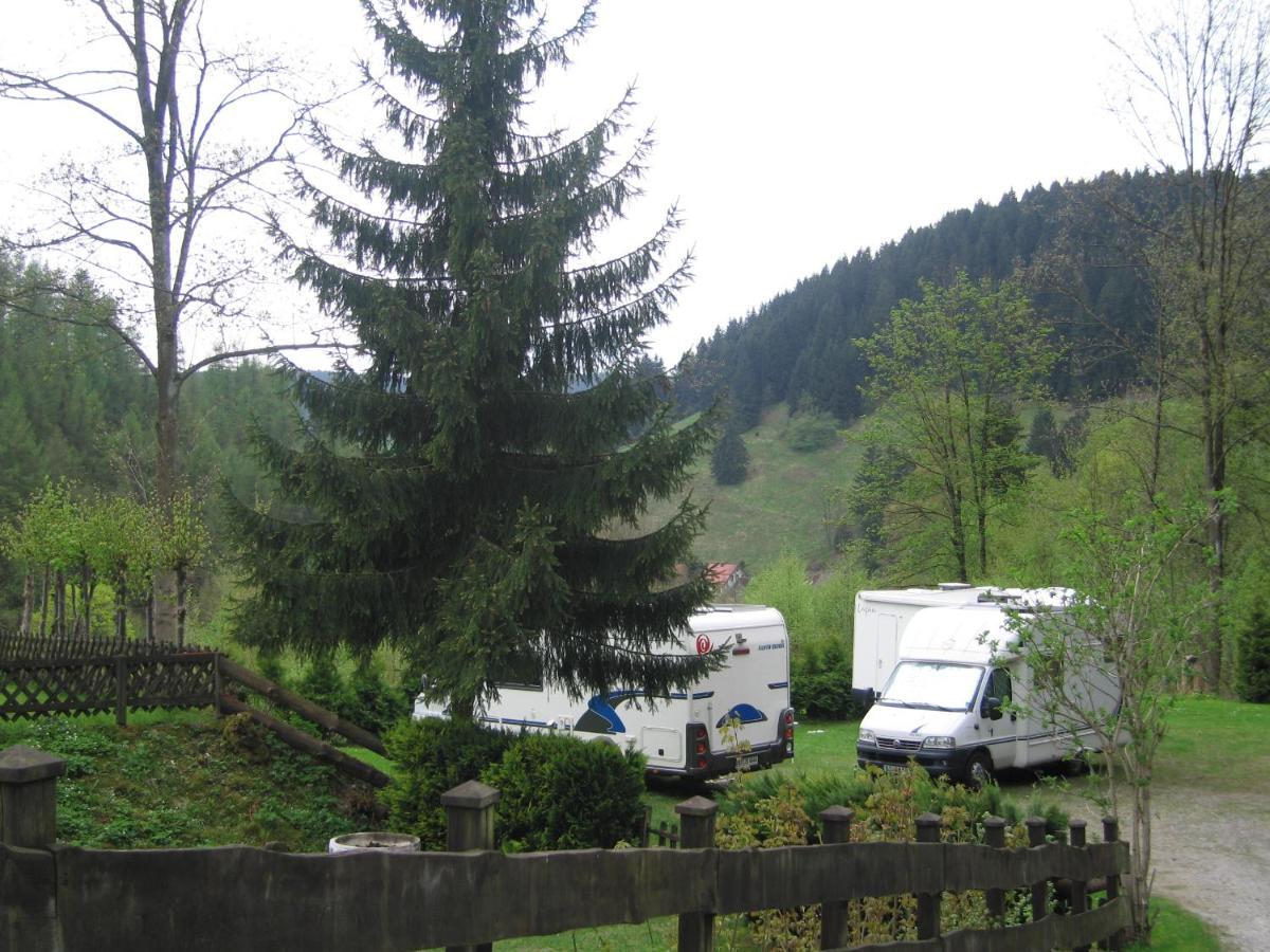 Pension Haus Vogelsang Вилдеман Екстериор снимка