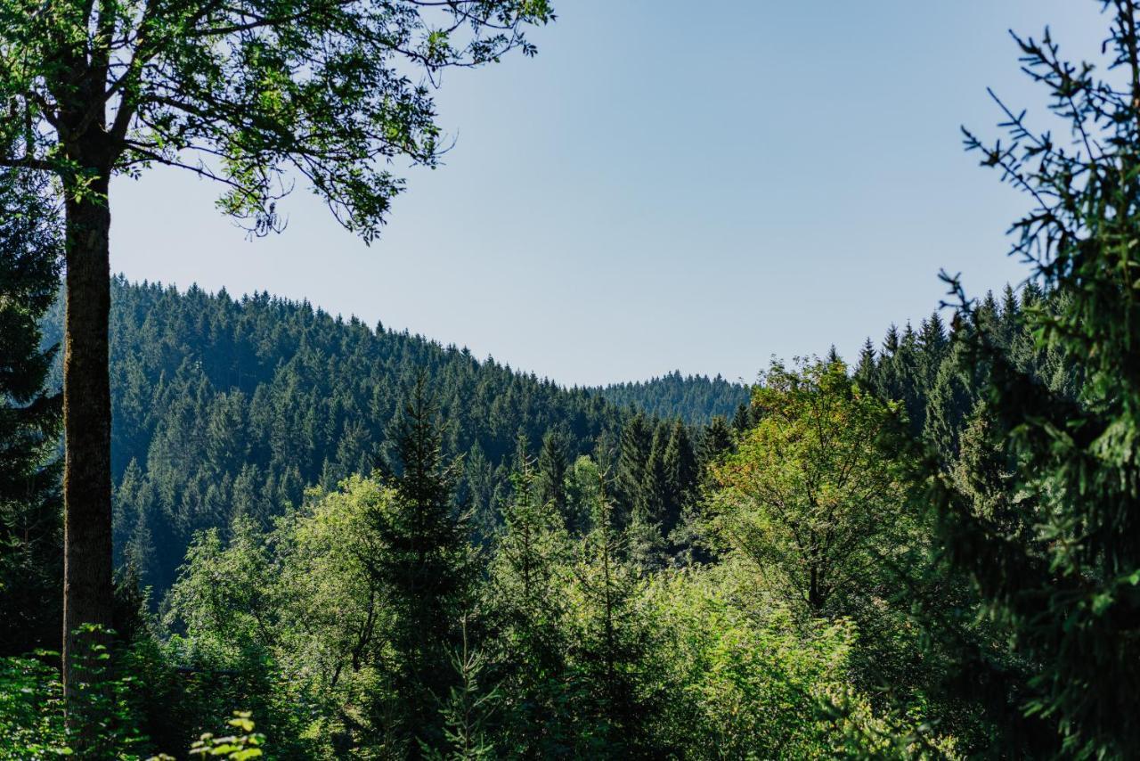 Pension Haus Vogelsang Вилдеман Екстериор снимка