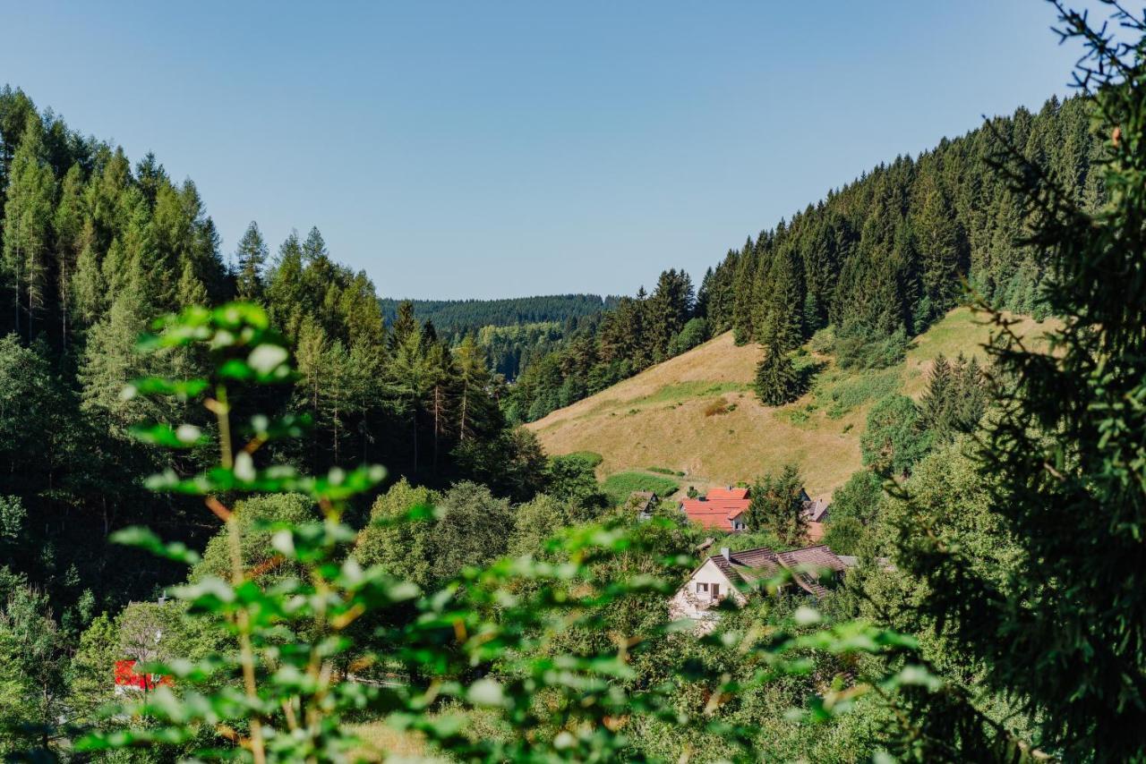 Pension Haus Vogelsang Вилдеман Екстериор снимка