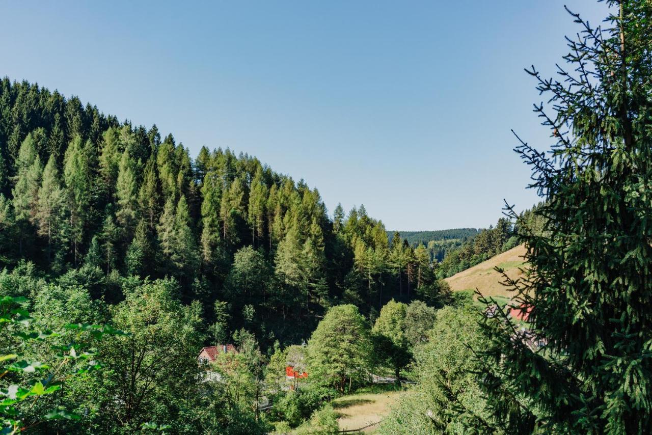 Pension Haus Vogelsang Вилдеман Екстериор снимка